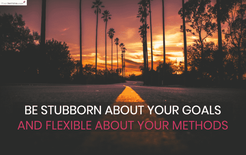 Be stubborn about goals, flexible about methods