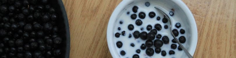 2 ingredient snack_berries and yogurt