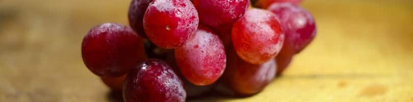 2 ingredient snacks-grapes
