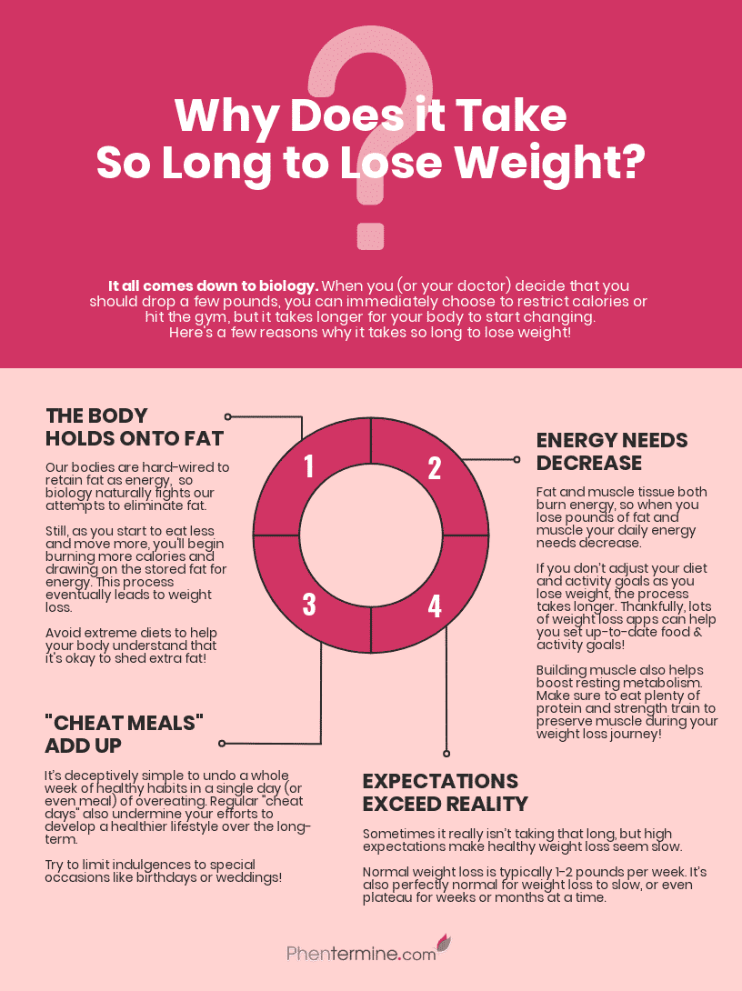 Why It Takes So Long to Lose Weight - Infographic