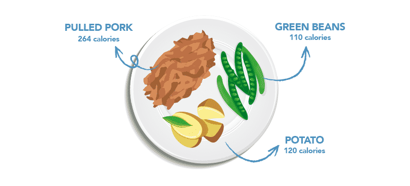 healthy plate ideas_pulled pork