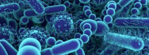Good Gut Microbes